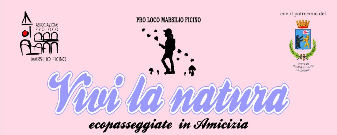 Immagine anteprima